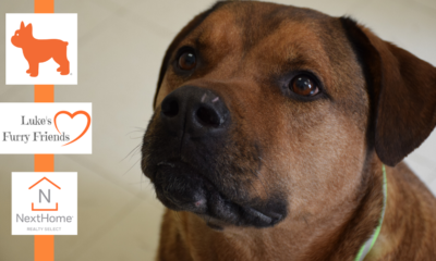 HUMANE SOCIETY OF WARREN COUNTY