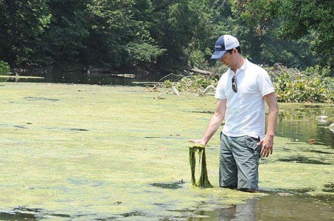 VDH lifts harmful algae bloom advisory for North Fork of the Shenandoah ...