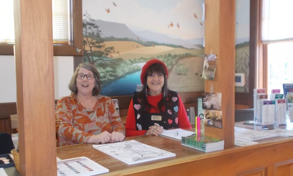 Tourism promotion without a face - Royal Examiner
