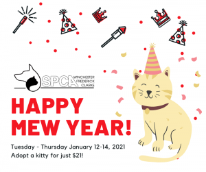 SPCA's MEW Year Adoption Special @ SPCA of Winchester, Frederick and Clarke
