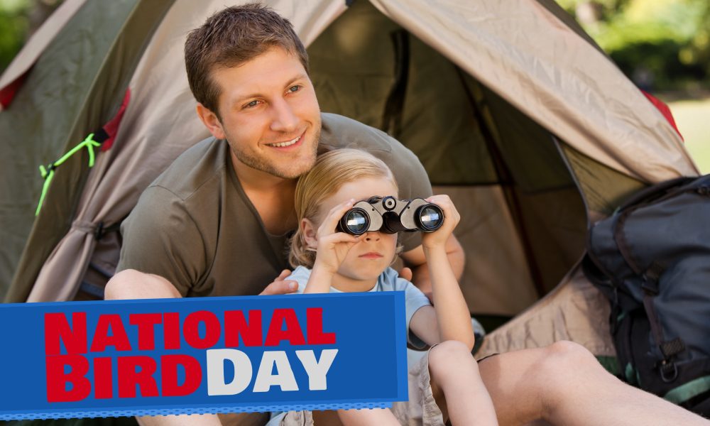 National Bird Day: How to Help Our Fine Feathered Friends