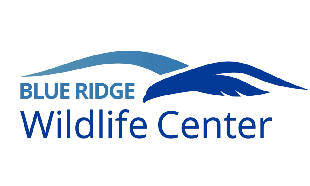 Blue Ridge Wildlife Center Continues its Winter Webinar Series on January 22nd