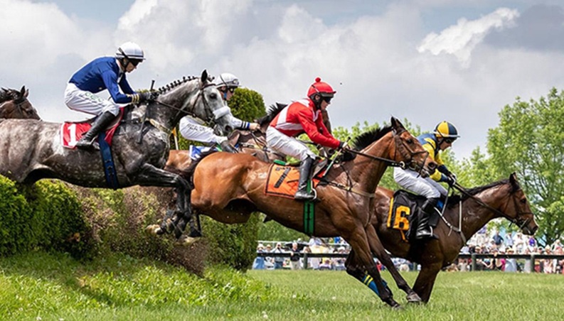 Race Day in Horse Country: Don Your Best for the 101st Gold Cup