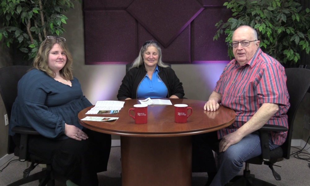 Music, Quilts, Birds and Books: A Month of Discovery at the Library