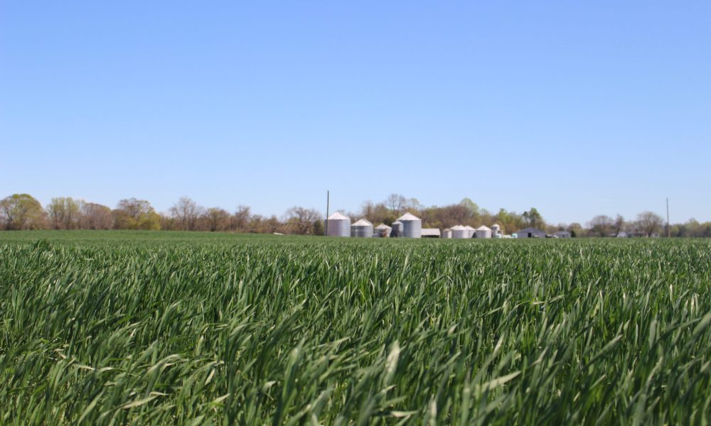 Bill to Ban the Use of Herbicide Paraquat in Virginia Advances With Narrow Vote