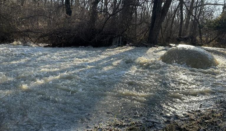 Maryland, Virginia Congressional Delegation Enters the Fray Over Massive Potomac Sewage Spill