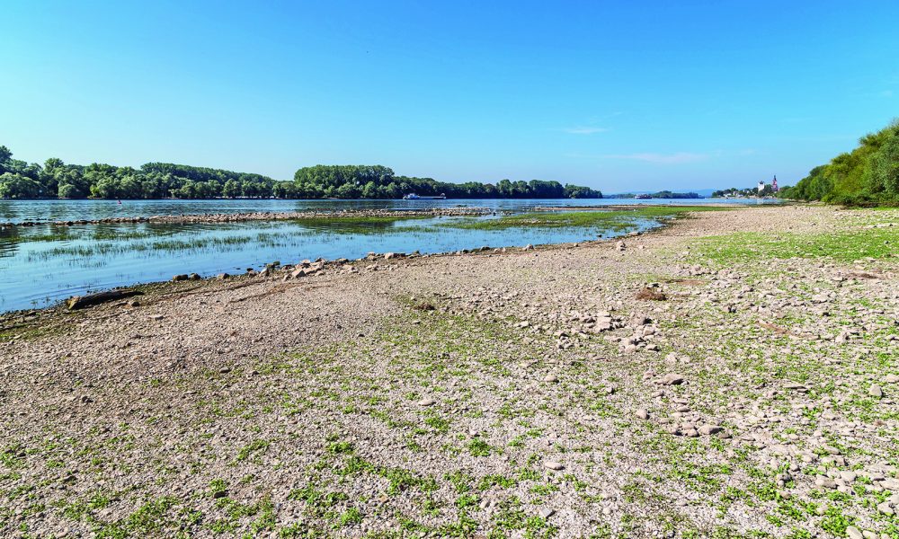 Business Ingenuity: Tackling Today’s Challenges With Innovative Ideas (4-19-2026)