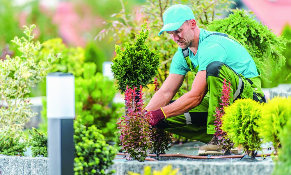 Landscaping Careers Offer Outdoor Work and Creative Opportunities