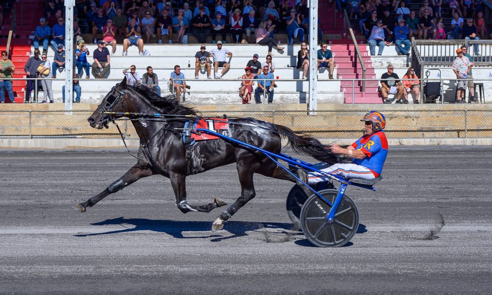 Shenandoah Downs Opens 11th Season April 11 with Tribute to Roger Hammer (4-3-149844)