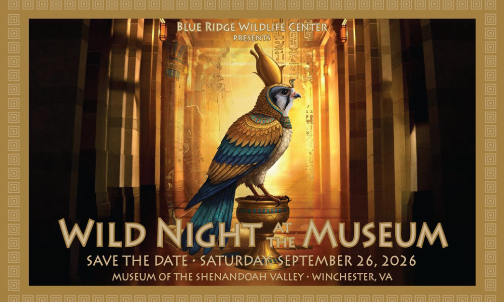 Save the Date: Wild Night at the Museum – Royal Examiner