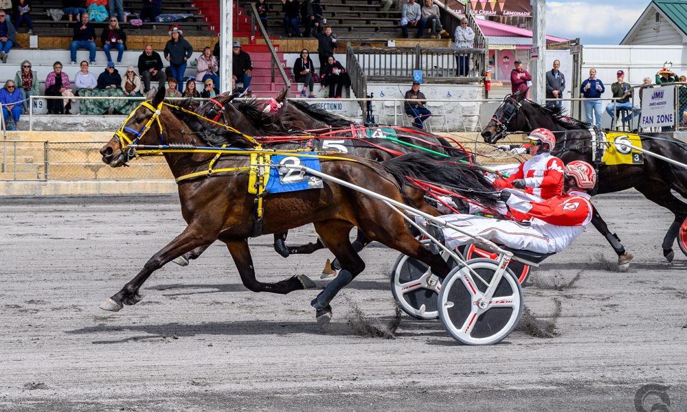 John’s Dream Scores 35th Win at Shenandoah Downs, Headlining Virginia Breeder’s Aged Stakes   (5-5-2026)